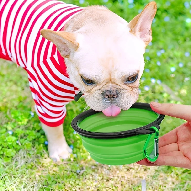 Collapsible Silicone Travel Pet Bowl | Portable Food & Water Bowl for Dogs & Cats